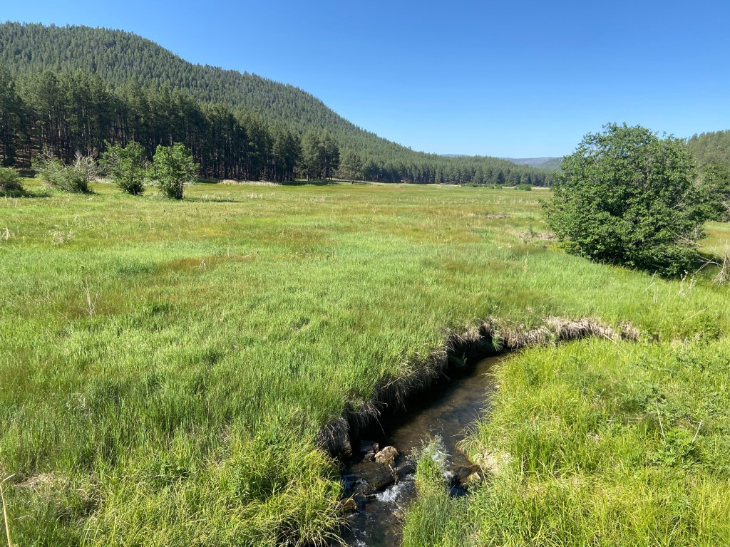 Picture of a grassy meadow with a small brook in the center, curving off to the right. A few shrubs dot the meadow. To the left, a tall forested mountain rises.
